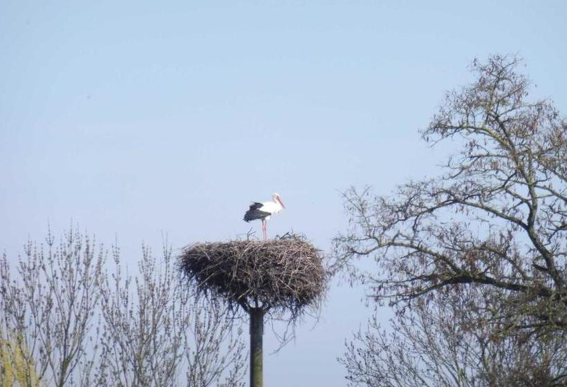 酒店 Pension Hohen Sprenz Objekt 10278