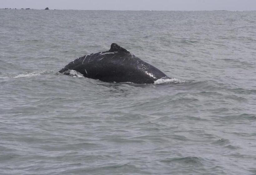 هتل Reserva Aguamarina