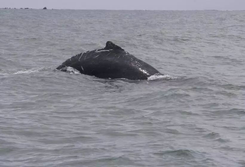 Hotelli Reserva Aguamarina