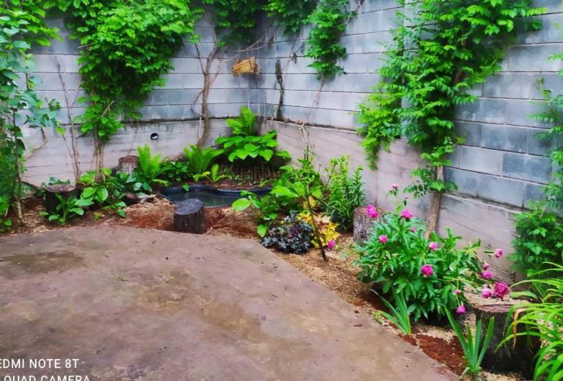 بنسيون Maldives