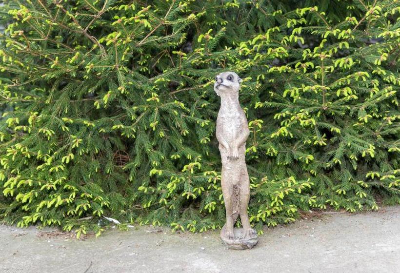 بنسيون Maldives