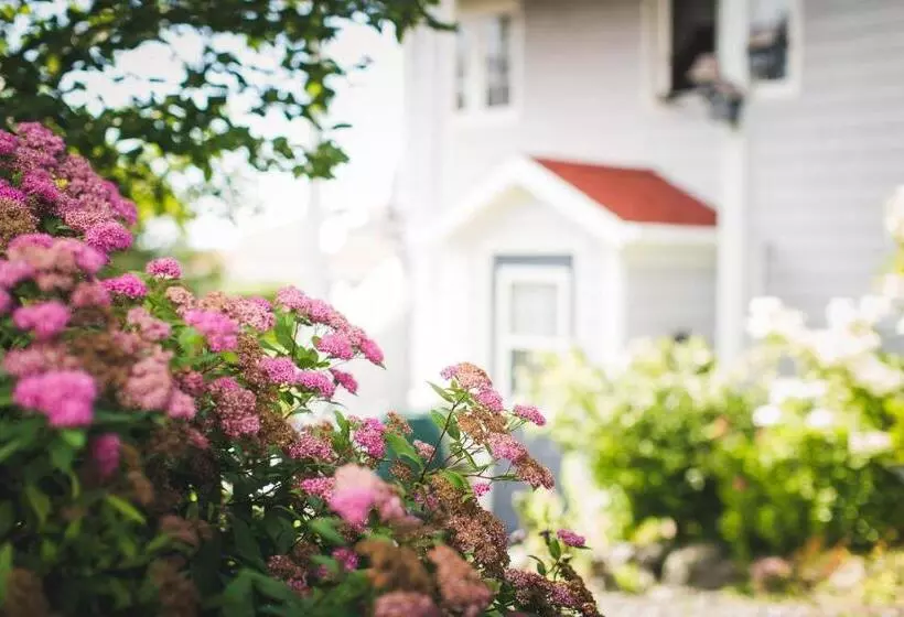 Abbie's Garden Bed & Breakfast