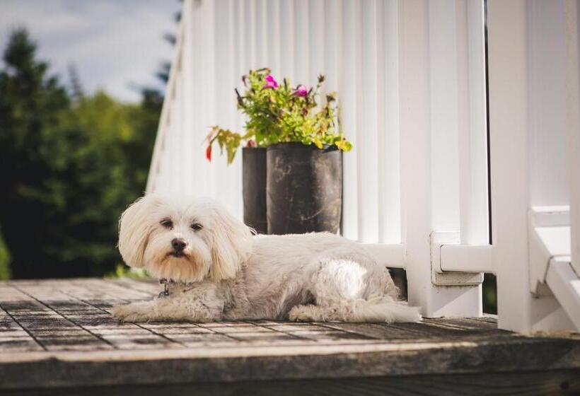 Abbie's Garden Bed & Breakfast