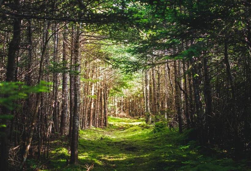 Abbie's Garden Bed & Breakfast