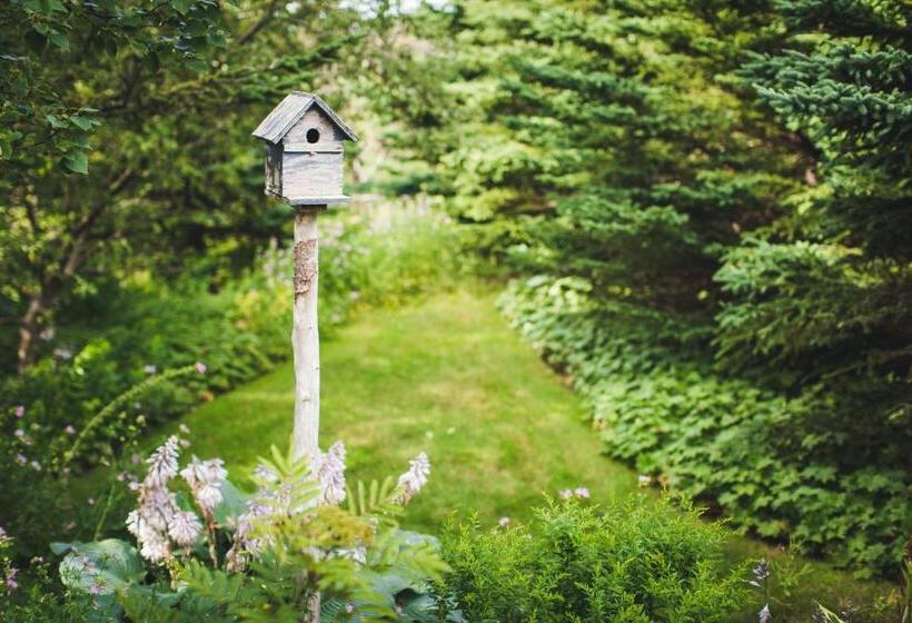 Abbie's Garden Bed & Breakfast