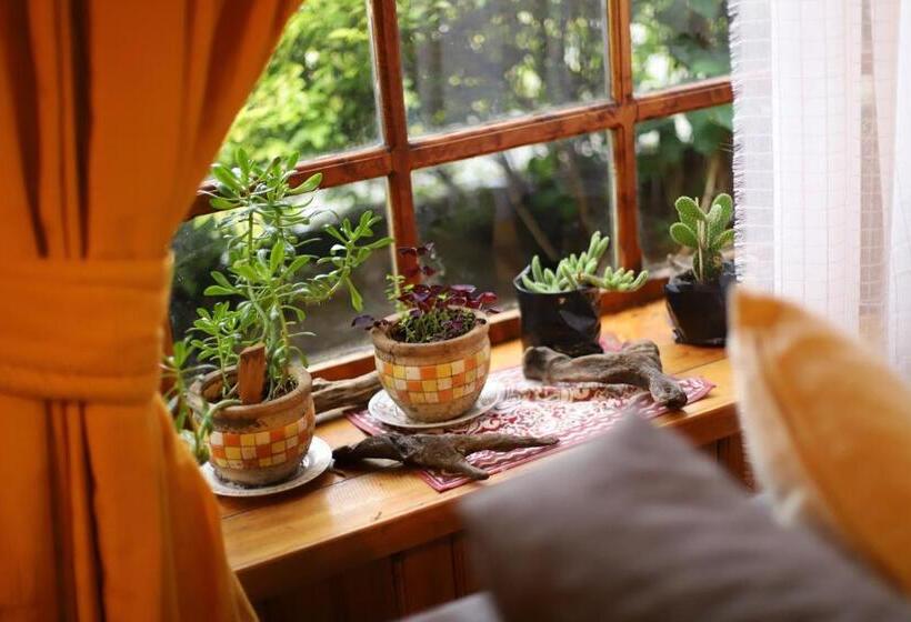 Herberge Profe Nelson