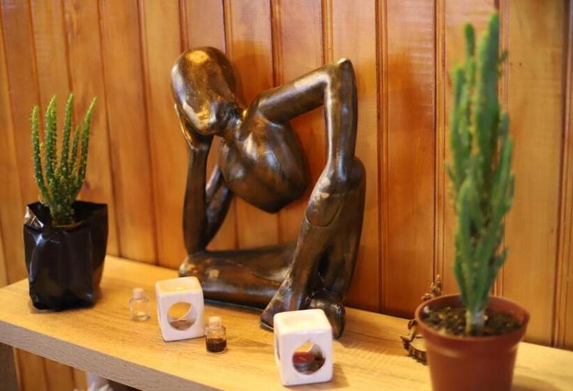 Herberge Profe Nelson