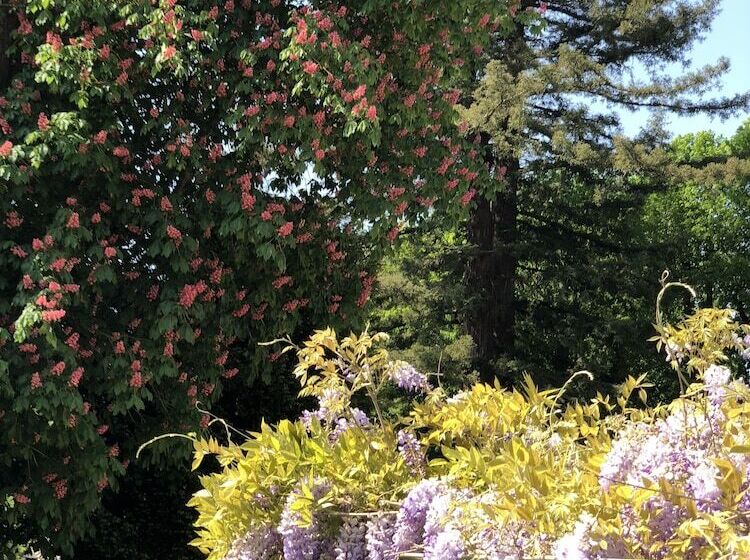 مبيت وإفطار La Villa Rochette