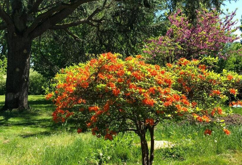 مبيت وإفطار La Villa Rochette