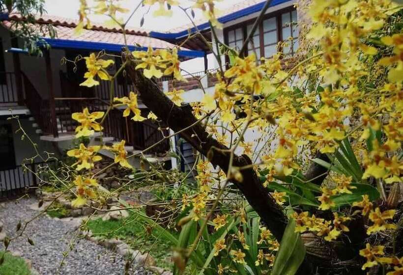 בית מלון כפרי Casa Rayma