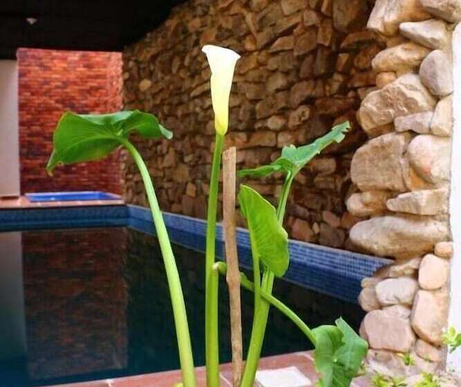 בית מלון כפרי Casa Rayma