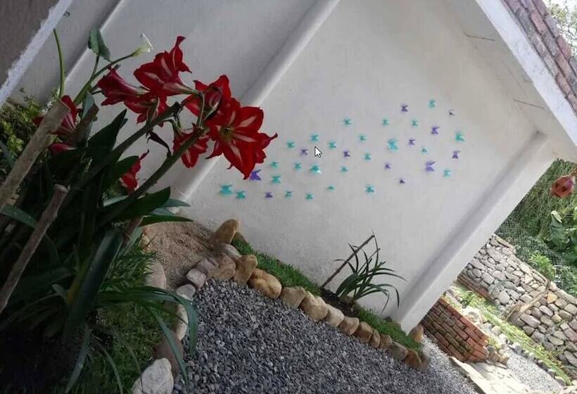 בית מלון כפרי Casa Rayma