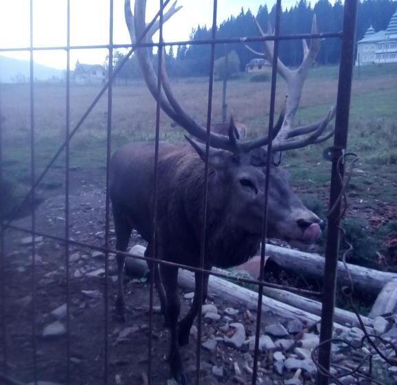 ペンション садиба у власія