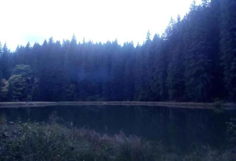 ペンション садиба у власія