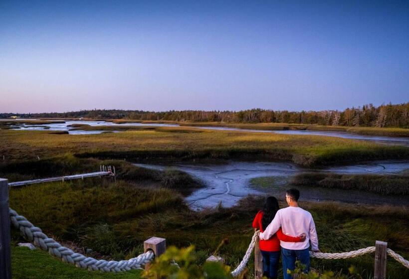 بنسيون Auberge Thon Jaune Yellow Tuna