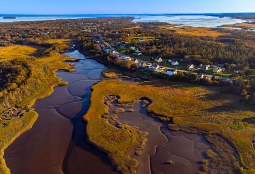 بنسيون Auberge Thon Jaune Yellow Tuna