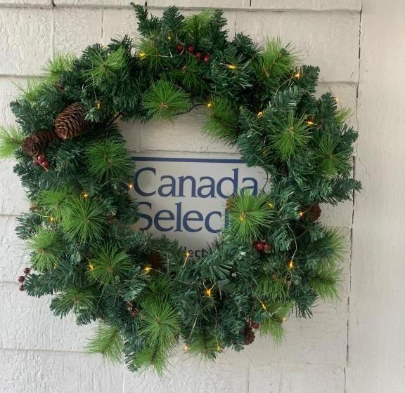 بنسيون Auberge Thon Jaune Yellow Tuna