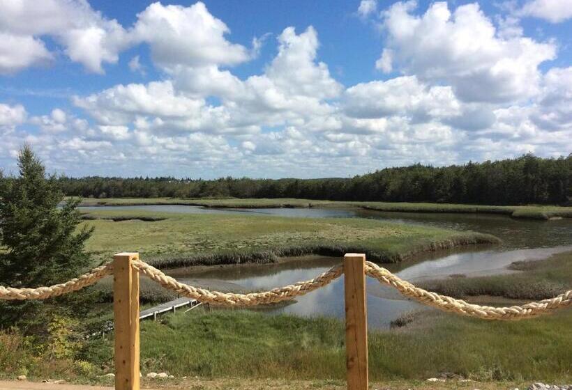 بنسيون Auberge Thon Jaune Yellow Tuna