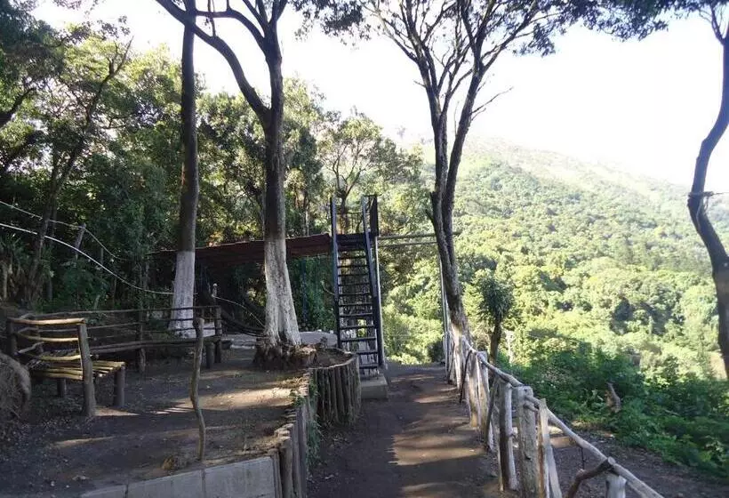 Majatalo Bosques Del Tibet