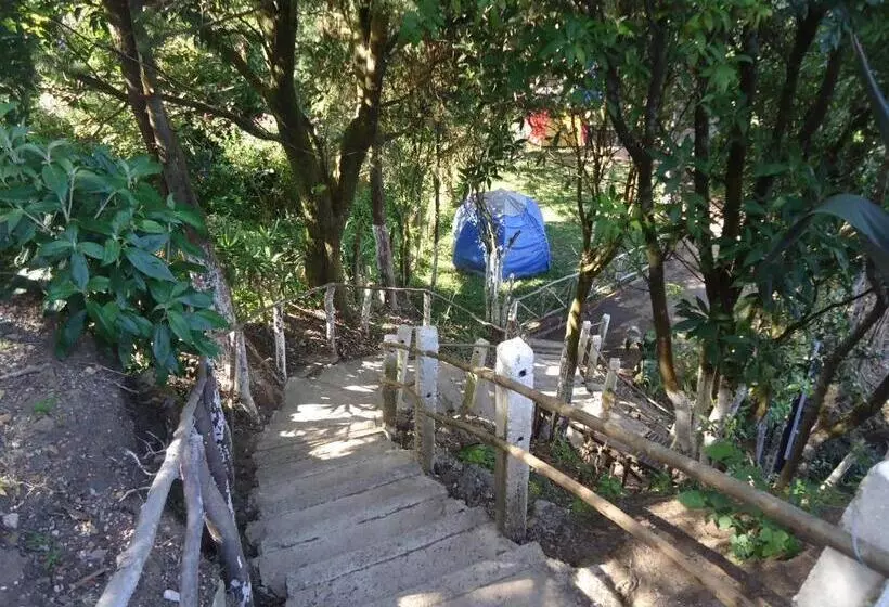 Majatalo Bosques Del Tibet