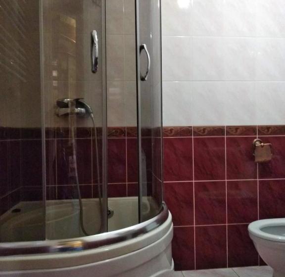 بنسيون Cheremshyna