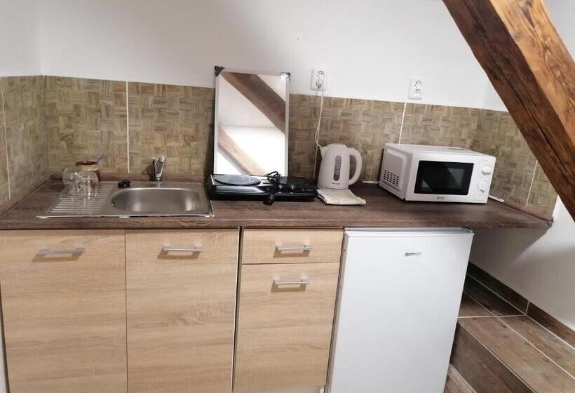 Пансион Fara Choustníkovo Hradiště