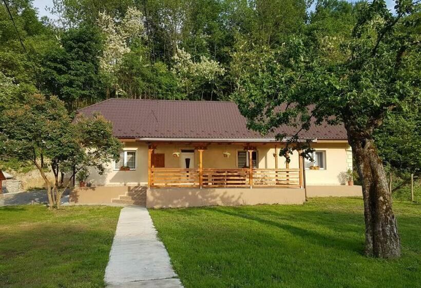 Пансион Hegyalja Vendégház