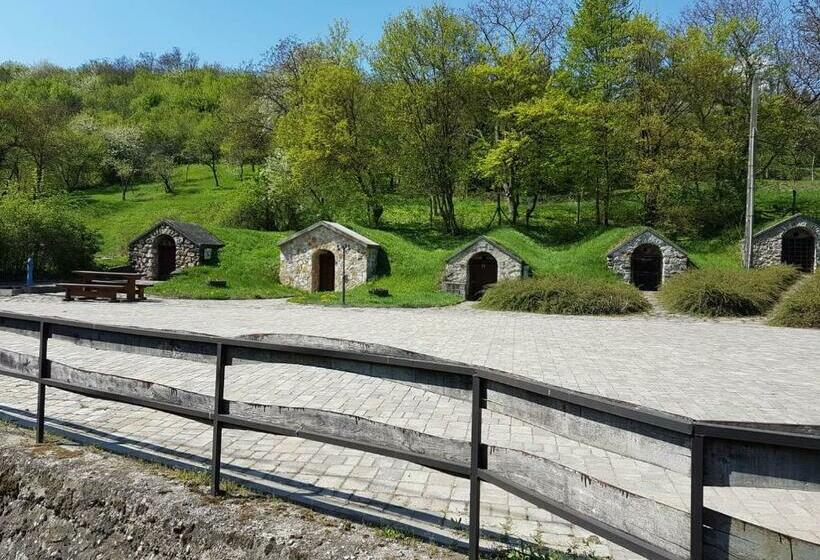 Пансион Hegyalja Vendégház