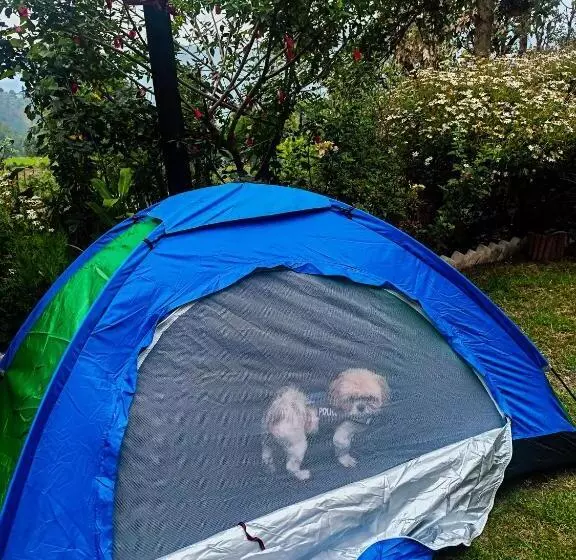 Majatalo Jmt Eco Binsar By Stayapart