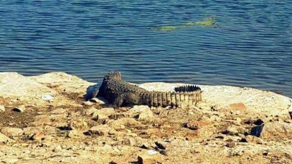 Pensão Om Shanti Guest House