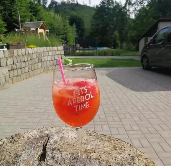 ペンション Penzion U Klujů