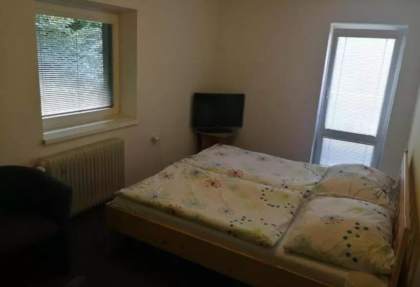 ペンション Penzion U Klujů