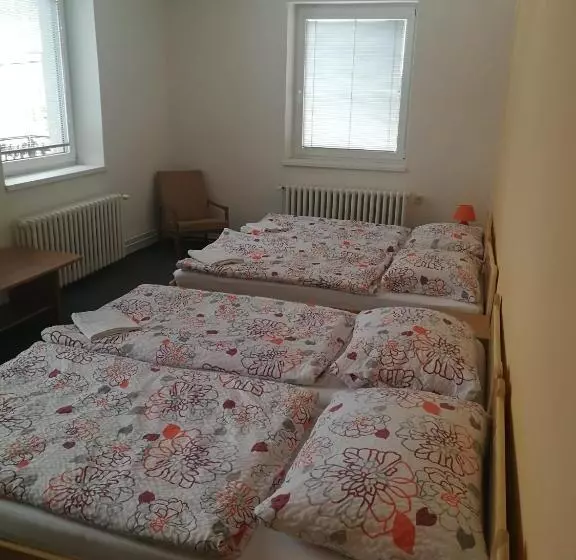 ペンション Penzion U Klujů