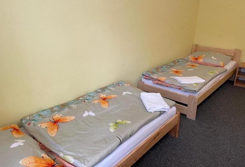 פנסיון Penzion U Klujů