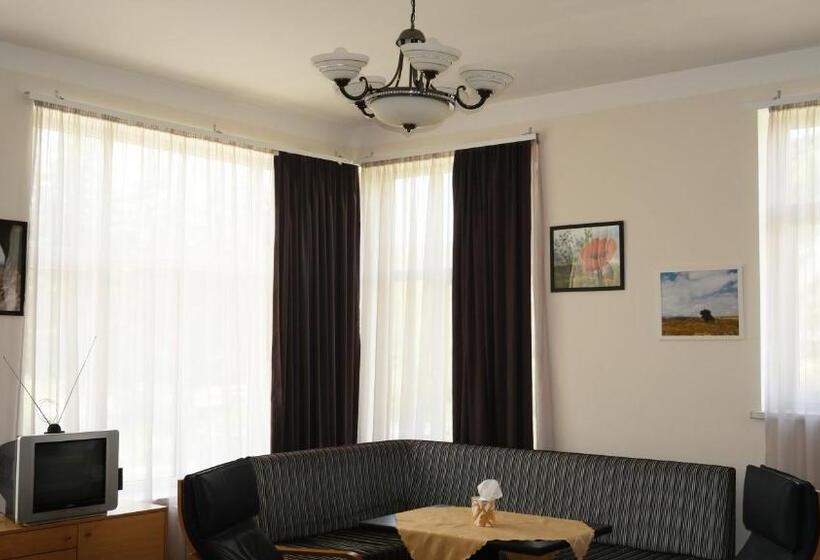 Schronisko Ymca Spitak