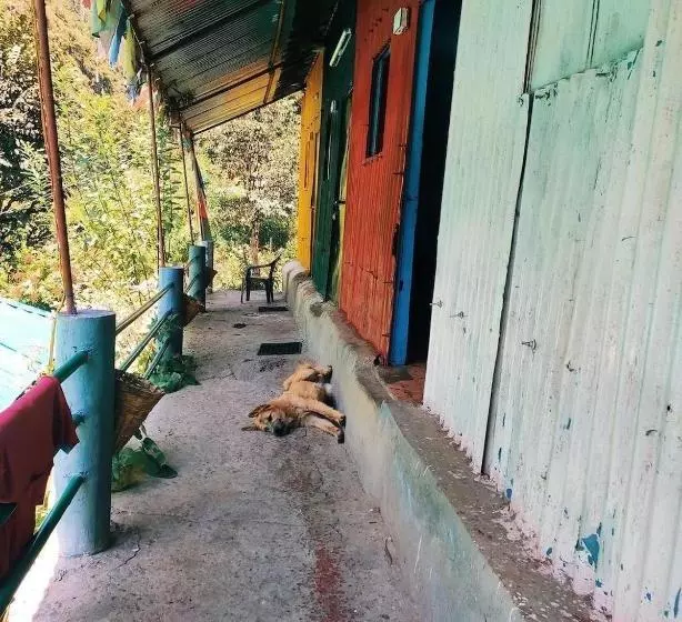 Ayoya Malana Resort  Shiva Cafe