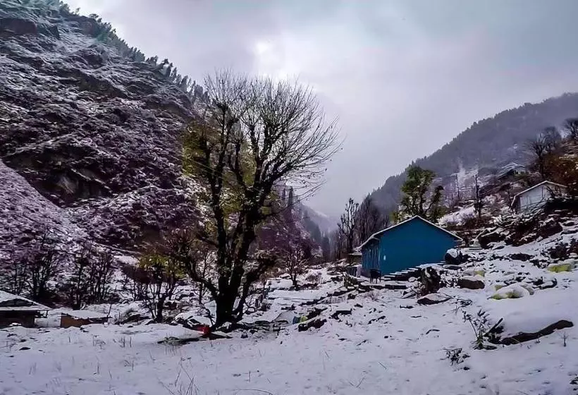 Ayoya Malana Resort  Shiva Cafe