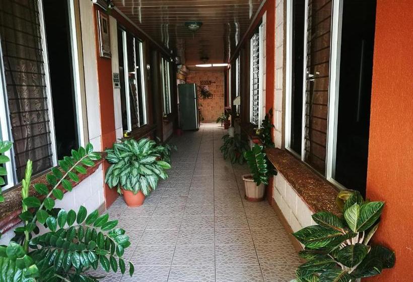 ホテル Hospedaje Las Orquídeas