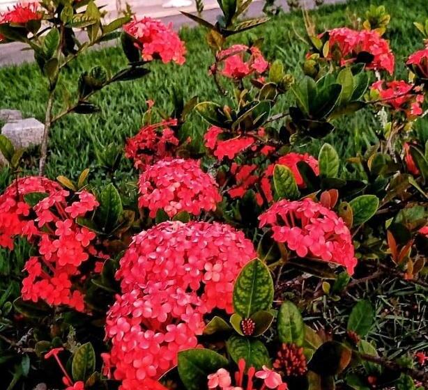 酒店 Monte Pascoal