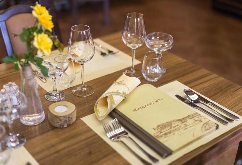 בית מלון כפרי Nemojanský Mlýn