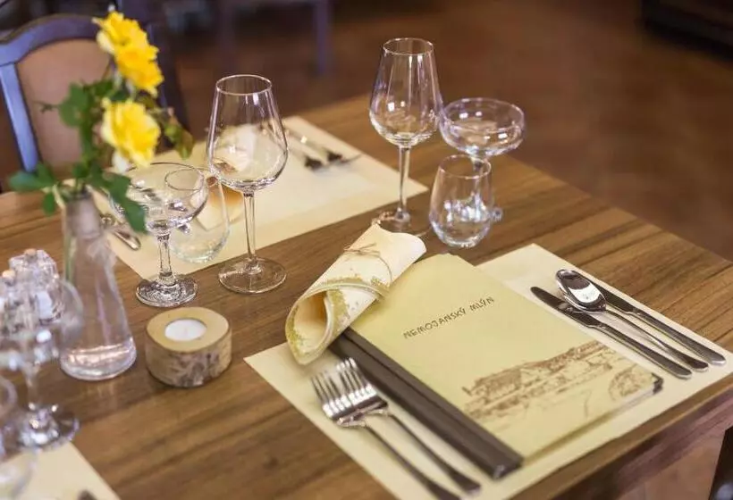 ホテル Nemojanský Mlýn