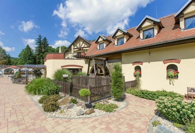 בית מלון כפרי Nemojanský Mlýn