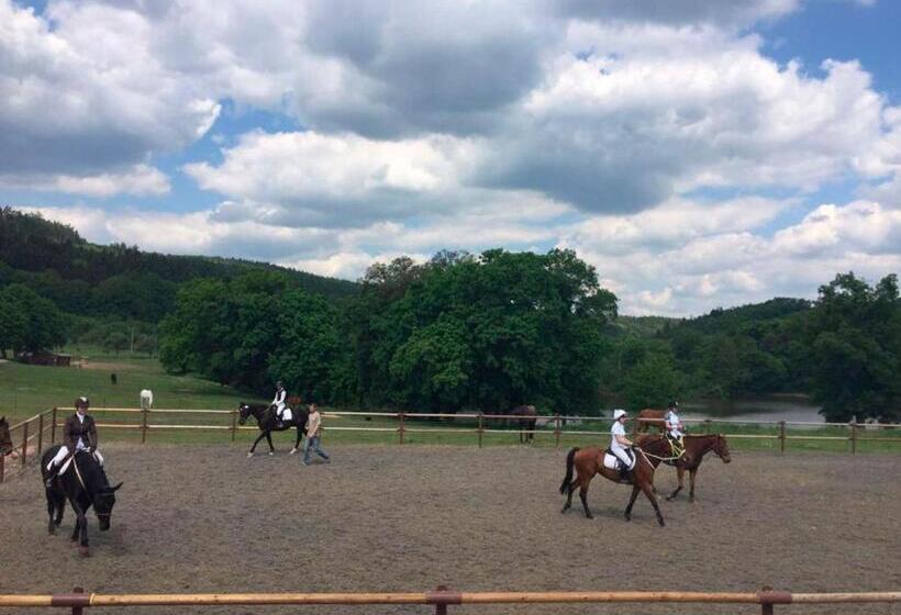 בית מלון כפרי Nemojanský Mlýn