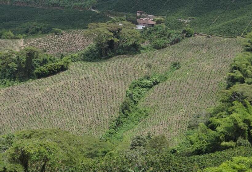 فندق Palestina Eco