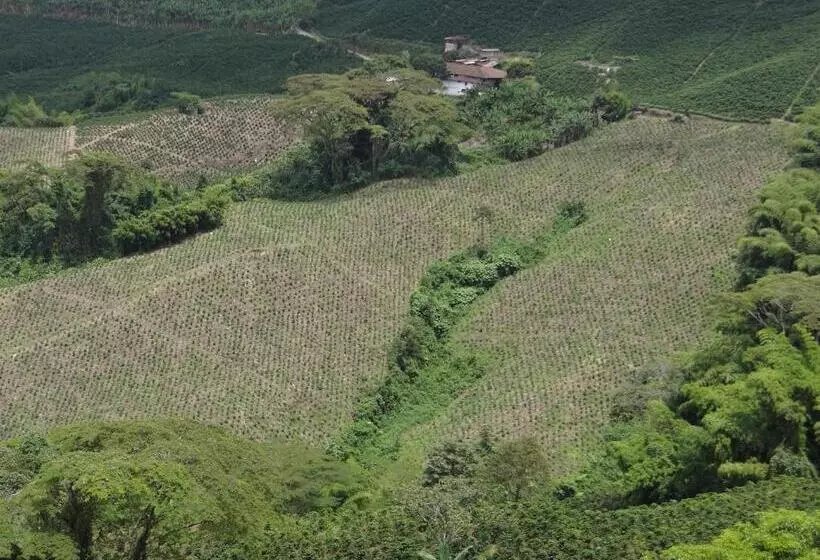 Hotelli Palestina Eco