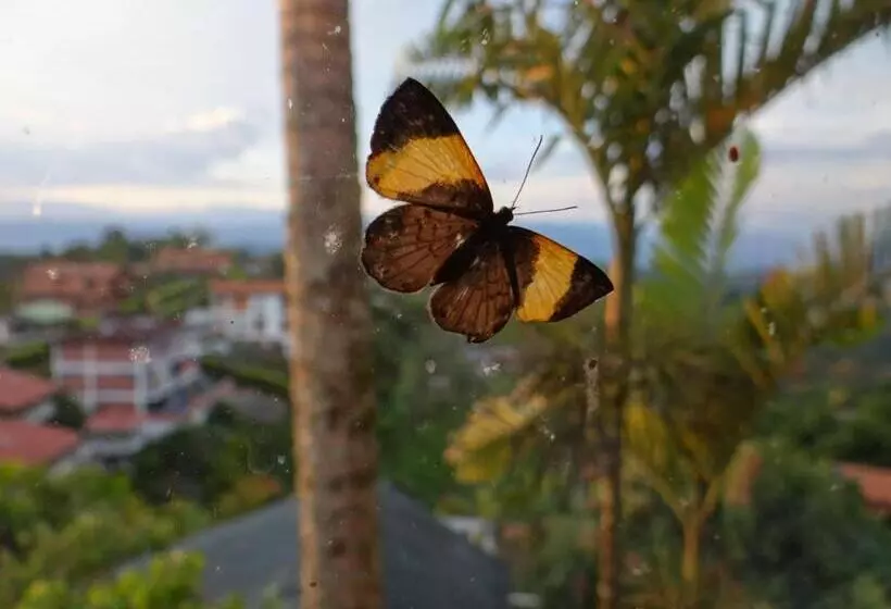 Hotelli Palestina Eco