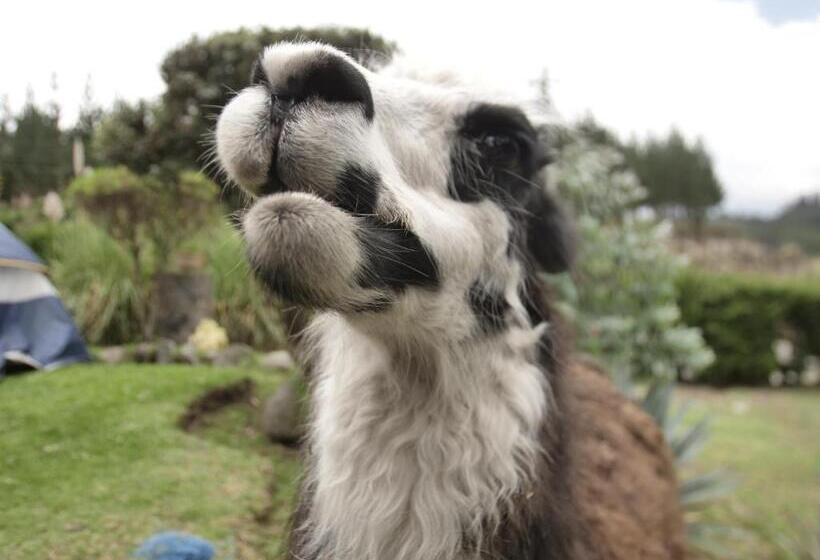 ホテル Rondador Cotopaxi