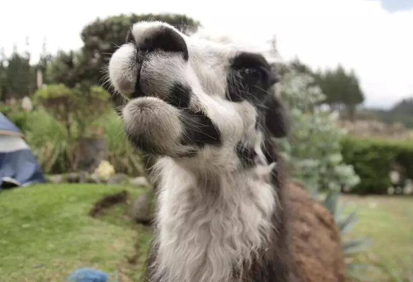 Hotelli Rondador Cotopaxi