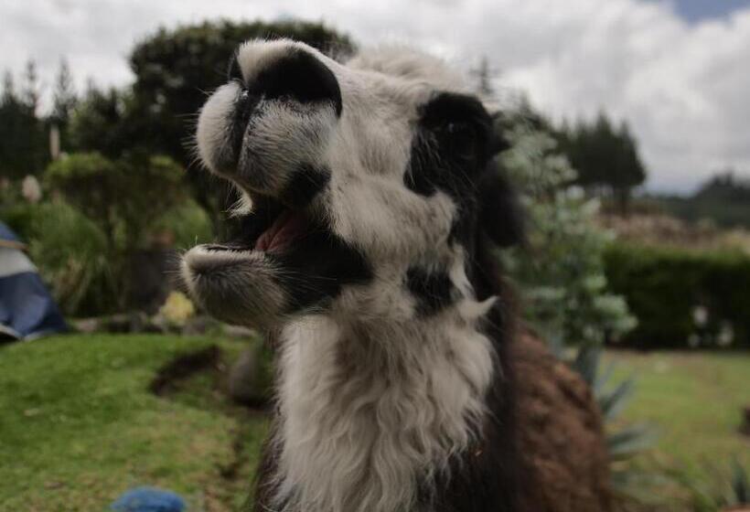 ホテル Rondador Cotopaxi