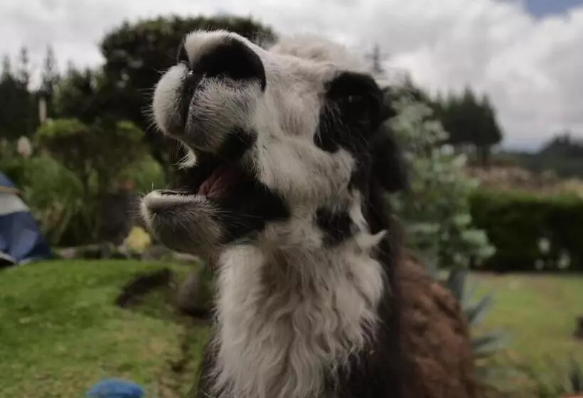 Hotelli Rondador Cotopaxi